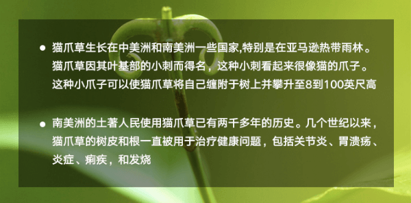 别样 土著药材 猫爪草 给胃肠道洗洗澡